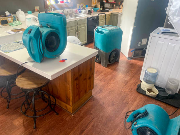 Best Water damage restoration cost  in South Coatesville, PA