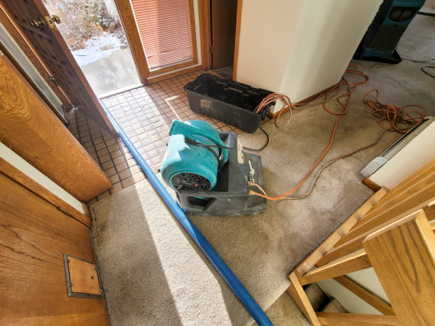 Best Water damage cleanup near me  in South Coatesville, PA