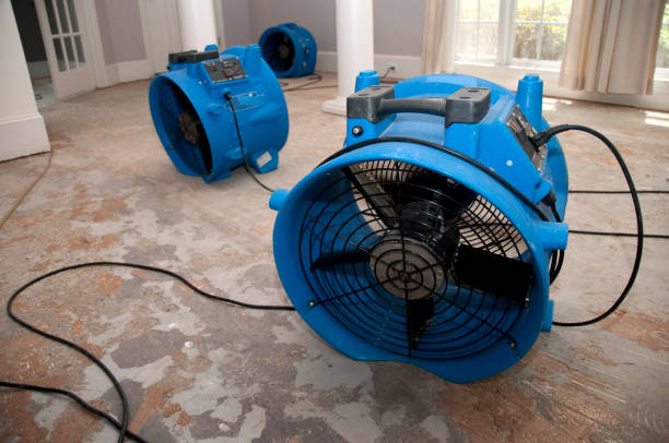 Best Mold removal after water damage  in South Coatesville, PA