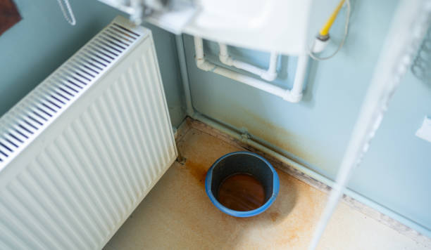 Best Carpet water damage restoration  in South Coatesville, PA